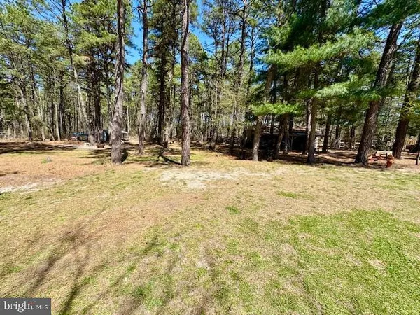 a view of a playground with a tree