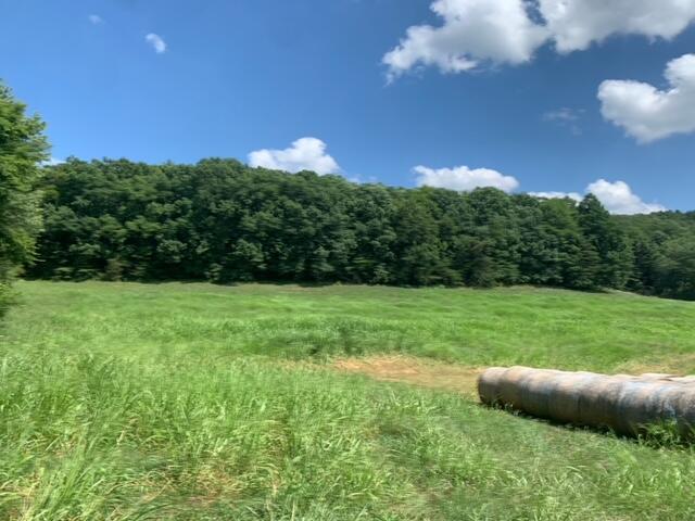 0 West Howards Mill Road Owingsville, KY 40360 - Photo 11 of 11 Image 11