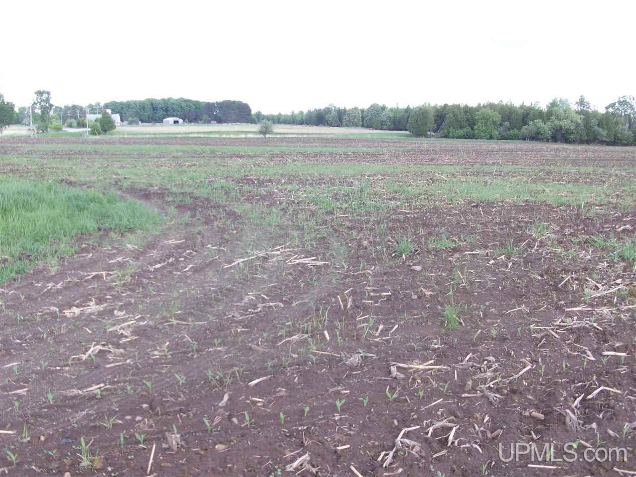 Tbd Co Rd 426 & River Road Cornell, MI 49818 - Photo 14 of 15