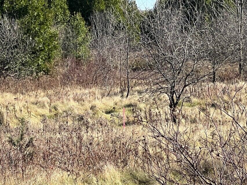 . Ketcham Bridge Road West Chazy, NY 12992 - Photo 6 of 12 20241115113034858186000000-o