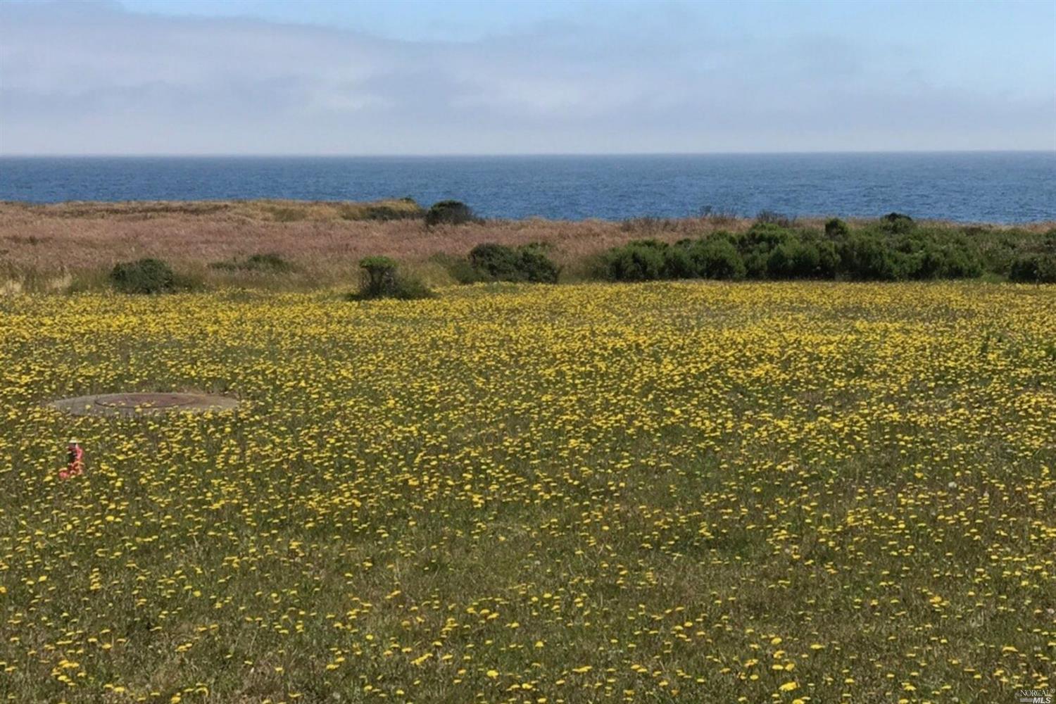 283 Solstice The Sea Ranch, CA 95497 - Photo 1 of 1 The oceanfront lot is located at the bluff's edge and offers many beautiful vistas including white water.