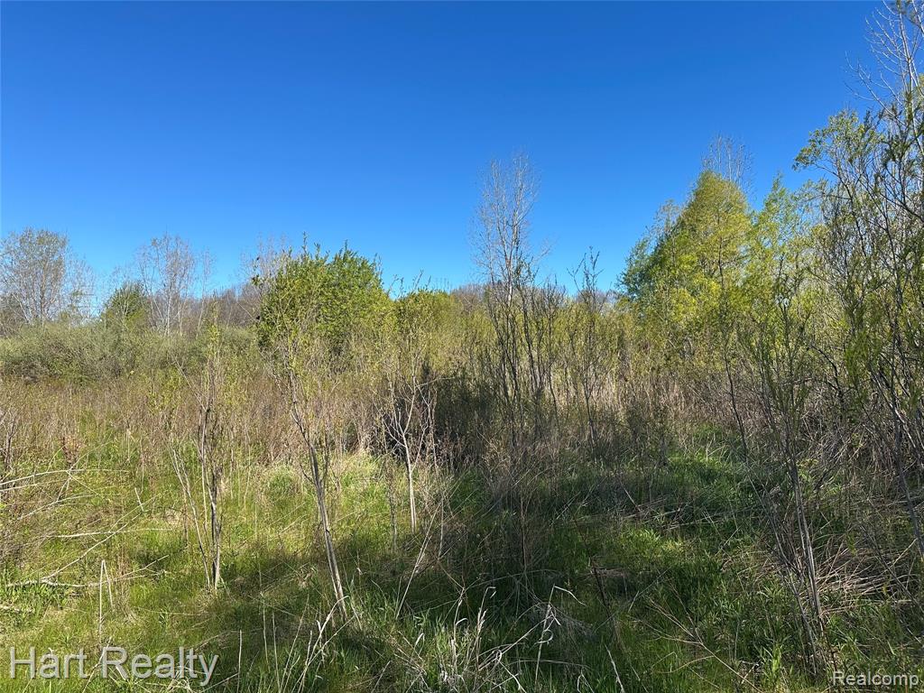 13 Single Tree Circle Dryden, MI 48428 - Photo 1 of 10