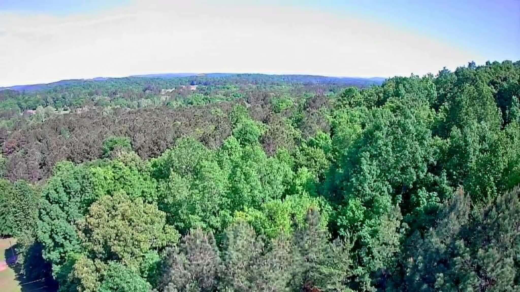 302 Timberland Trail Ringgold, GA 30736 - Photo 11 of 29 546b6da6-cbb0-4c9c-bd6b-e7a634ad893b