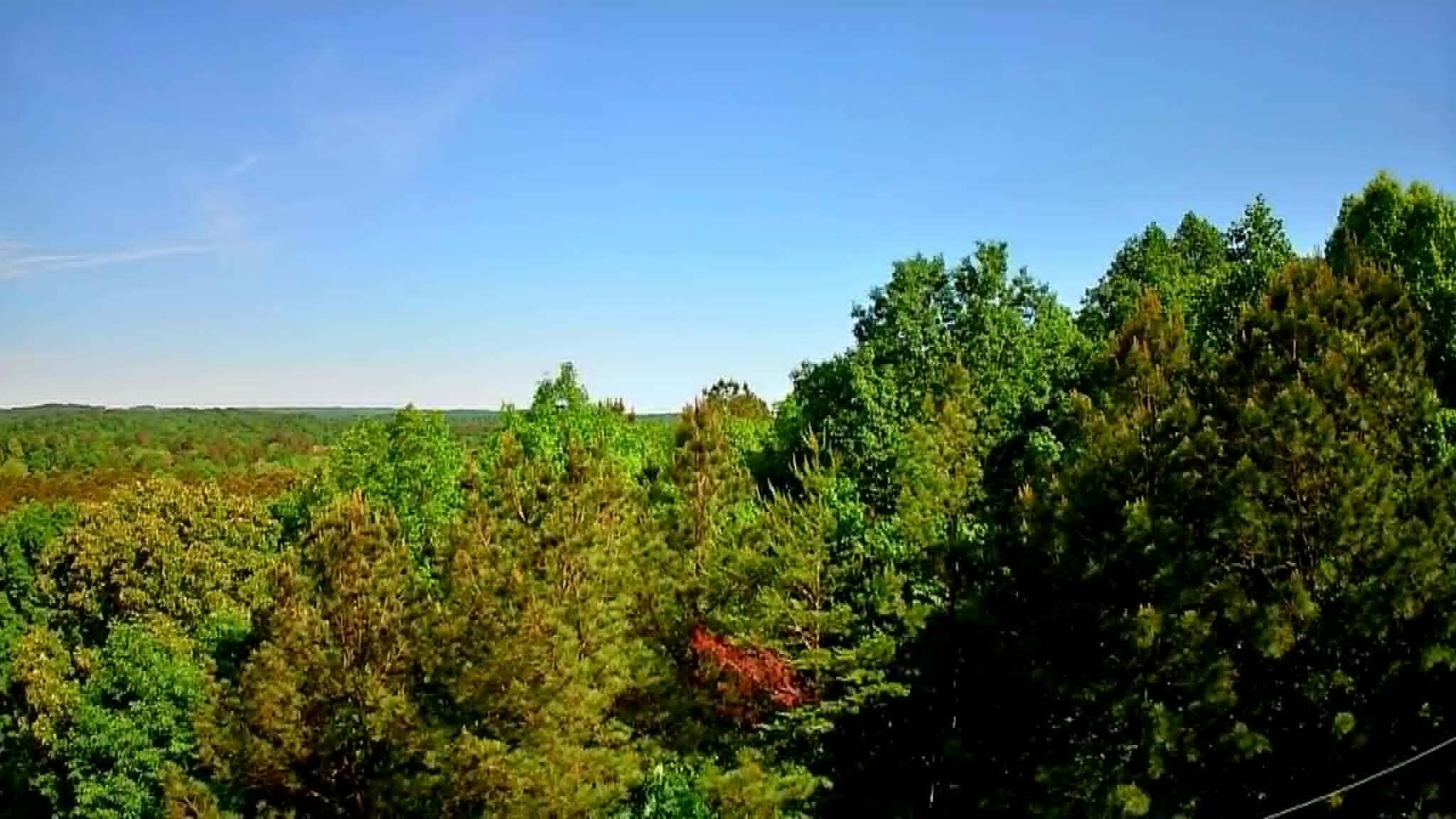 302 Timberland Trail Ringgold, GA 30736 - Photo 12 of 29 5d6d7639-0599-41a7-87b2-cb00488fb855