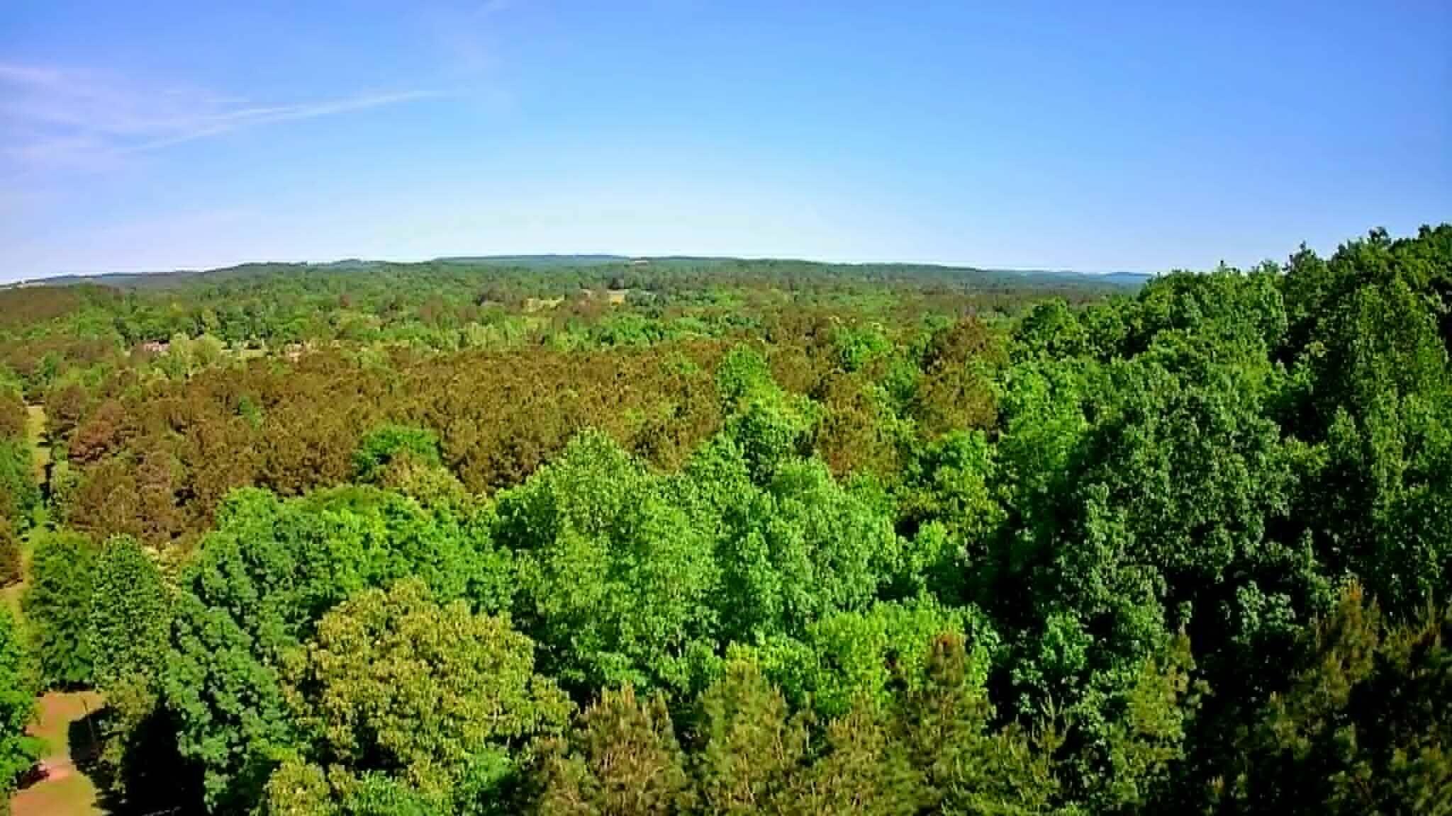 302 Timberland Trail Ringgold, GA 30736 - Photo 13 of 29 6d6b6ef9-31b9-4c98-91ed-f845dc0f4dd7