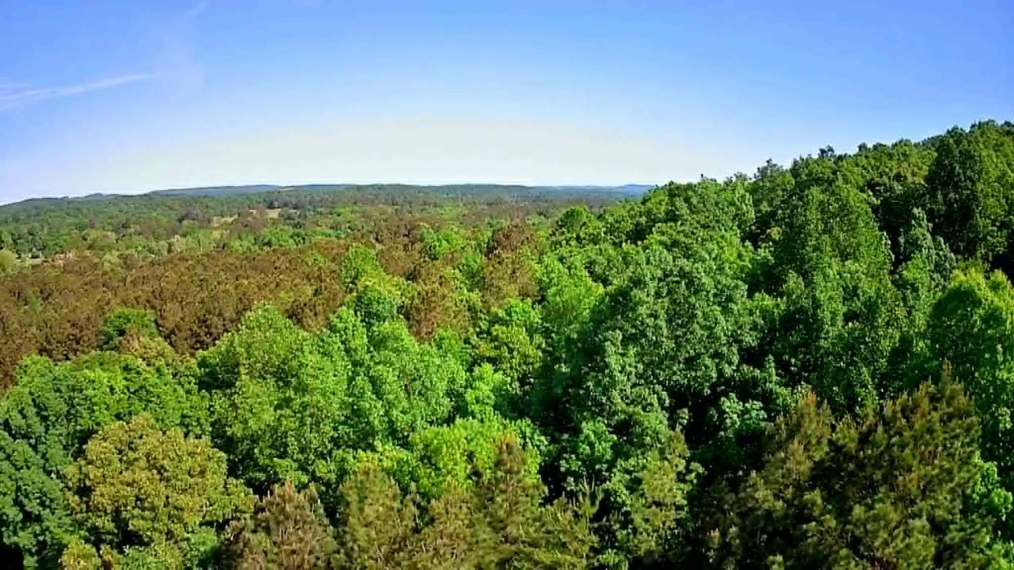 302 Timberland Trail Ringgold, GA 30736 - Photo 14 of 29 7b152ba8-11eb-488f-8895-1842feb0a39f
