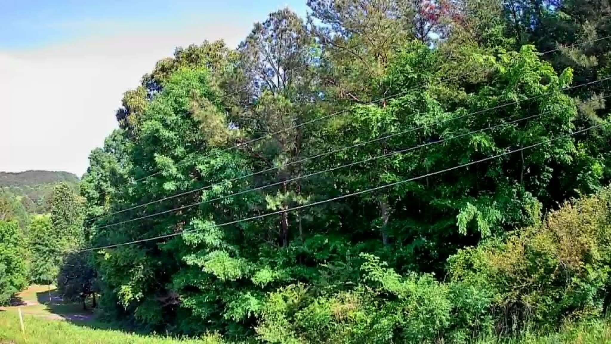 302 Timberland Trail Ringgold, GA 30736 - Photo 15 of 29 7b5fb006-efdb-444c-ab88-438ee3abbf0e