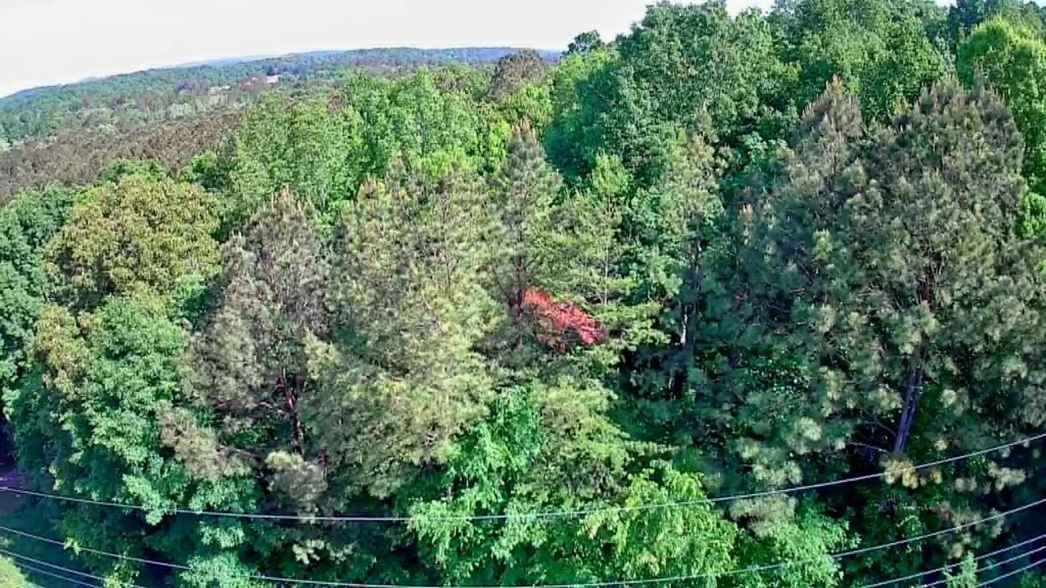 302 Timberland Trail Ringgold, GA 30736 - Photo 18 of 29 85c83572-5159-4b3d-8d7f-b89d7ae7d3aa