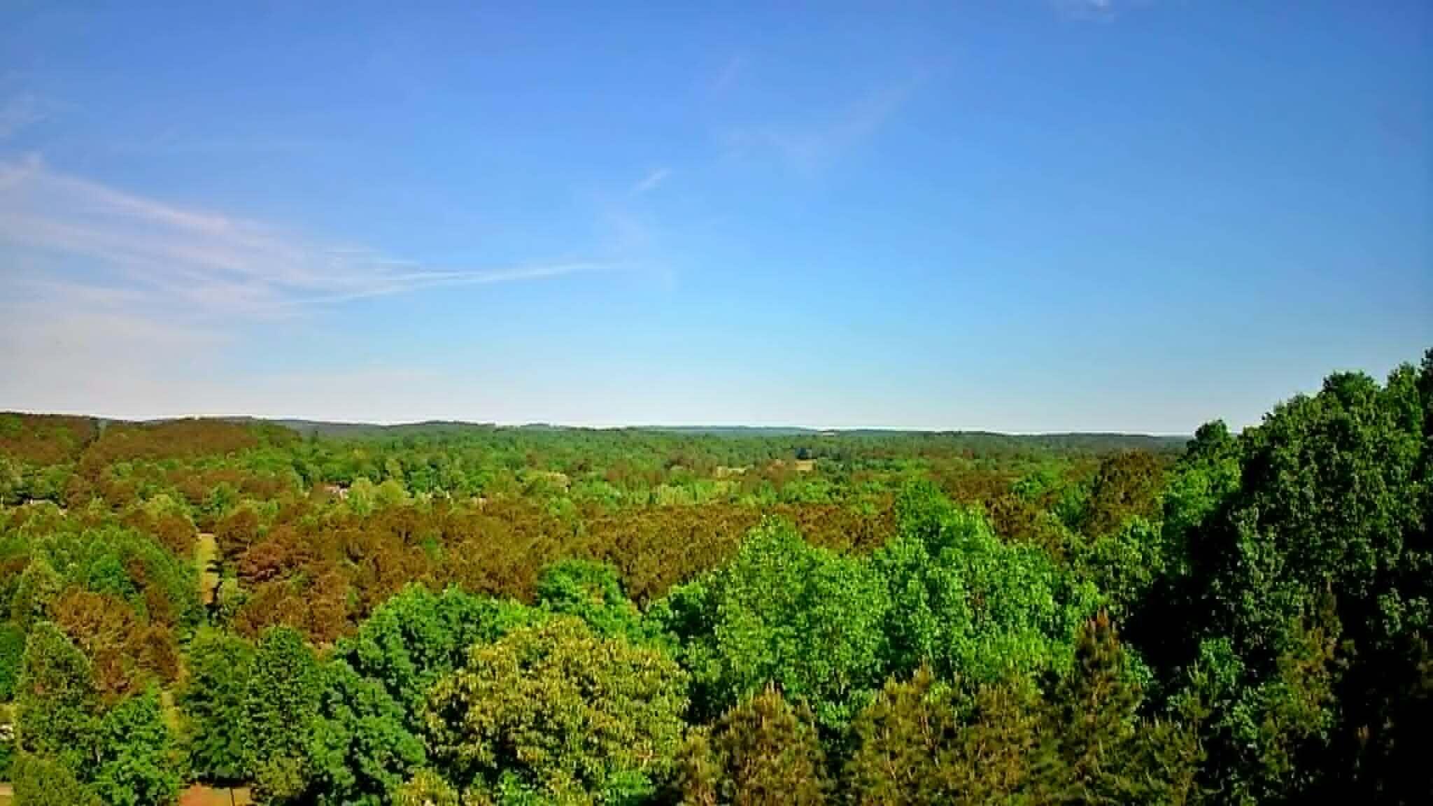 302 Timberland Trail Ringgold, GA 30736 - Photo 21 of 29 88244822-e25a-4f1c-a948-de6bcc0fc64b