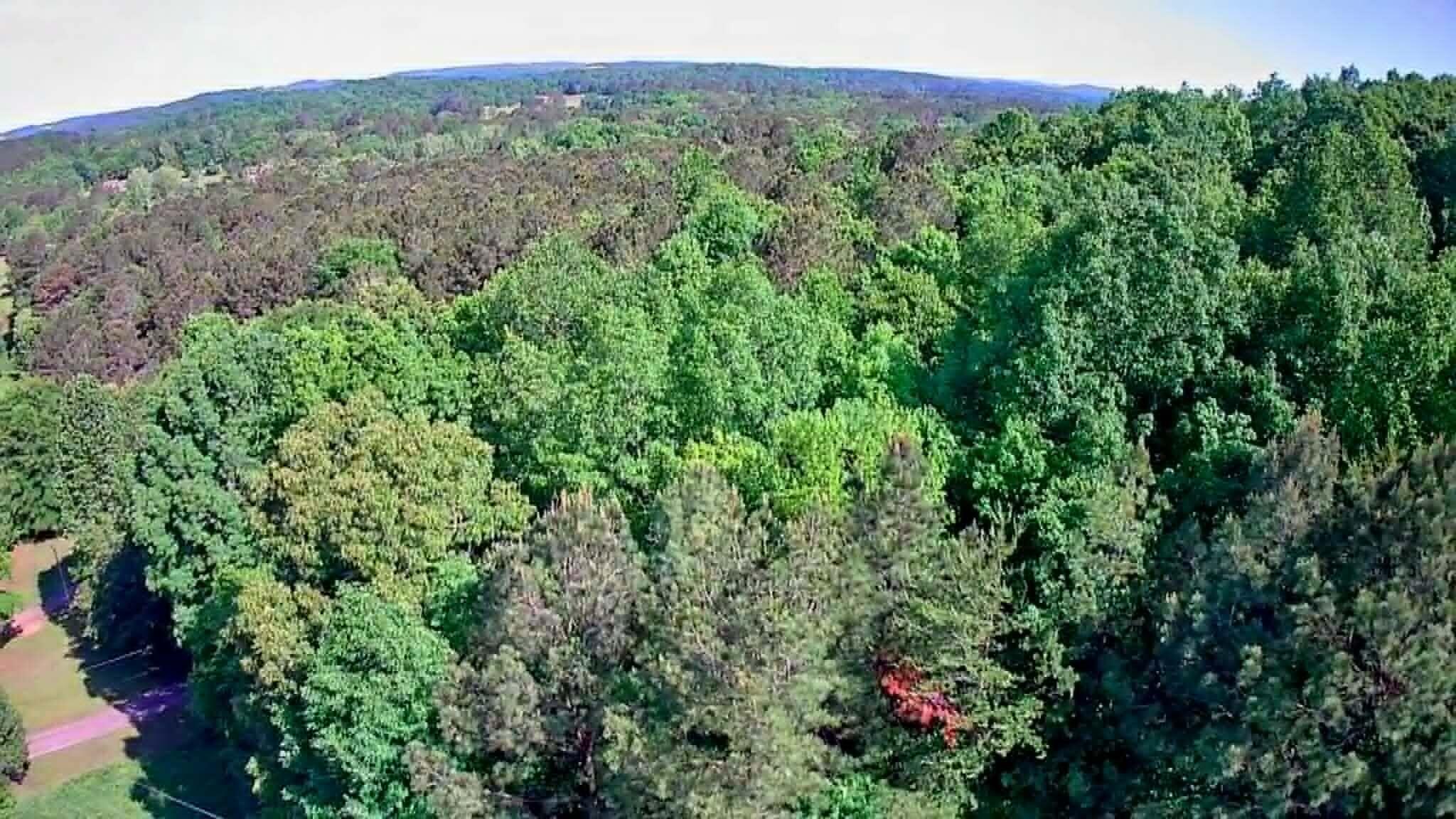 302 Timberland Trail Ringgold, GA 30736 - Photo 23 of 29 985f2a0a-5289-4ac4-8cc0-4b3d201a09f5