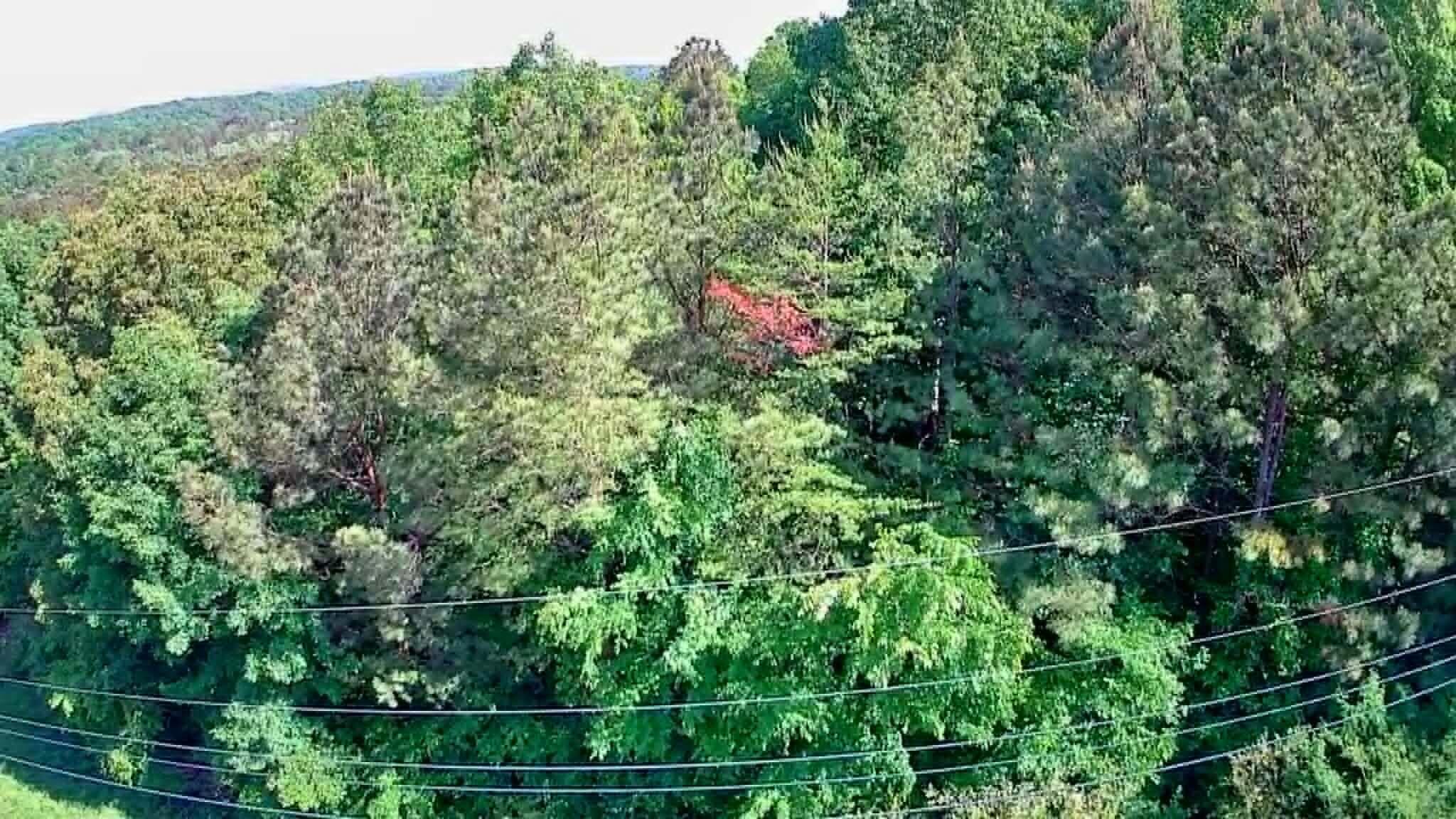 302 Timberland Trail Ringgold, GA 30736 - Photo 24 of 29 98721e2f-ac34-4366-a250-0d988c0b4300