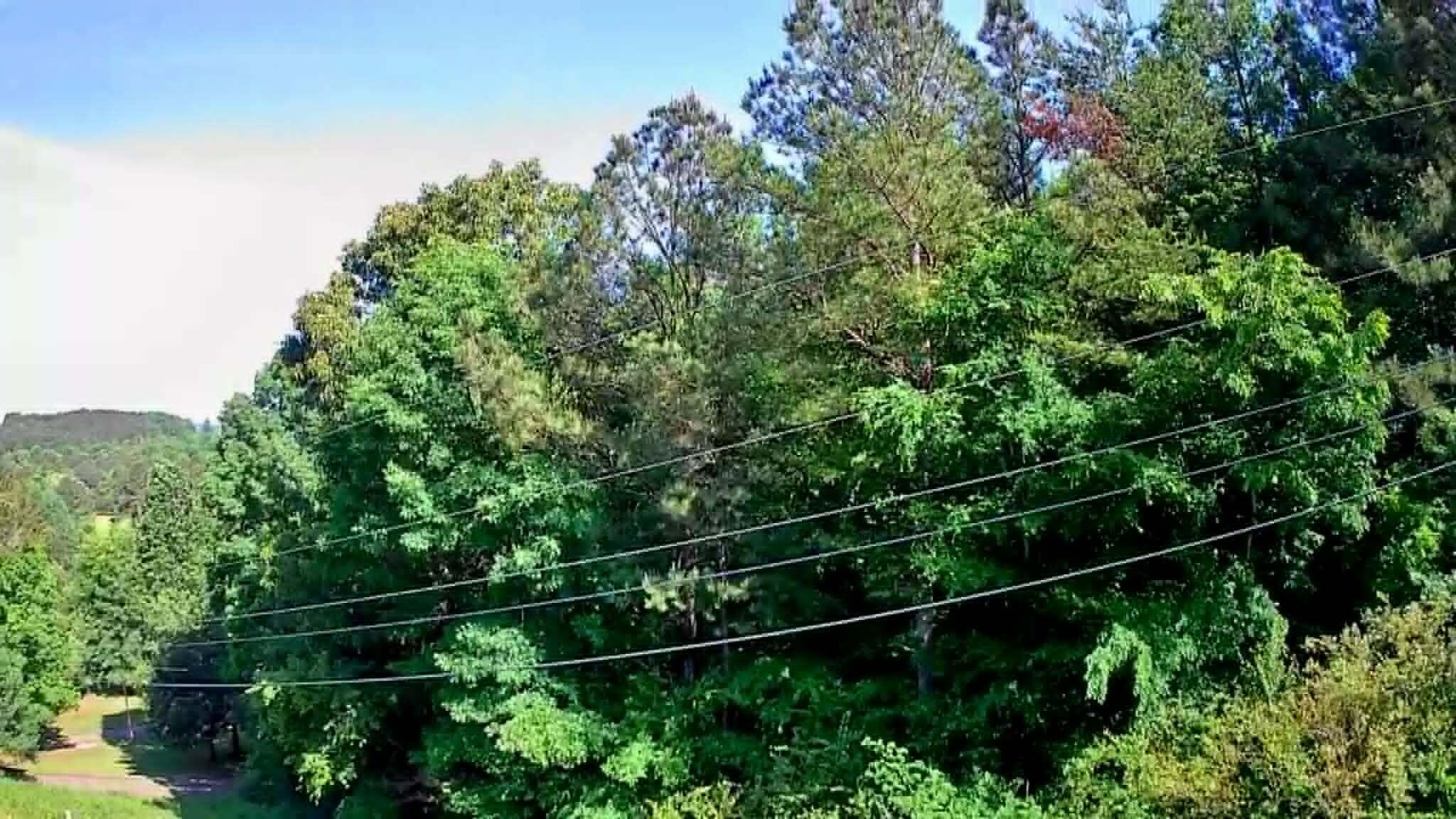 302 Timberland Trail Ringgold, GA 30736 - Photo 25 of 29 a140ffe3-c369-4e08-a0e5-400132a951b3