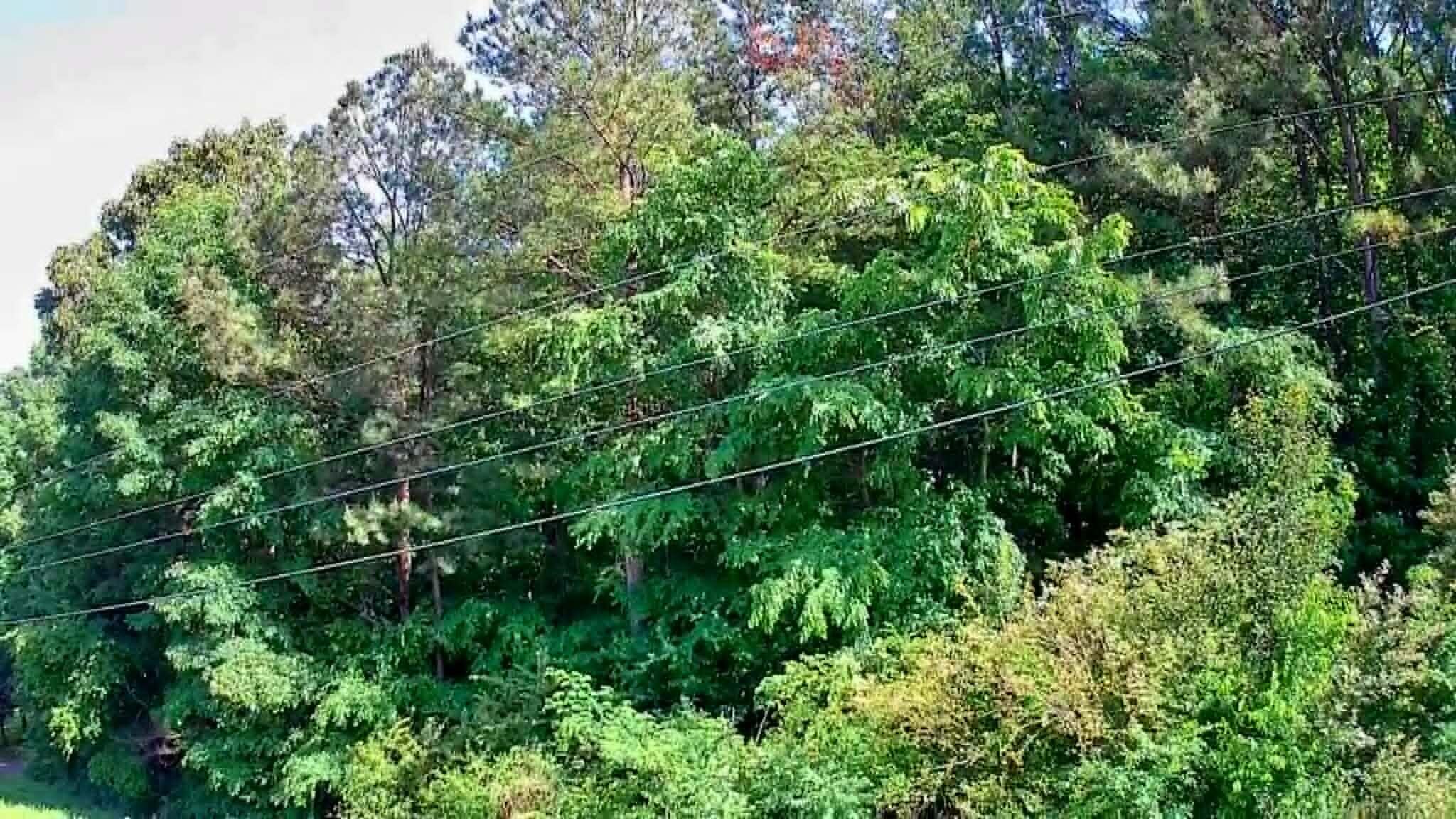 302 Timberland Trail Ringgold, GA 30736 - Photo 27 of 29 ba40d5e5-14fd-4a87-b126-72362c0131e2