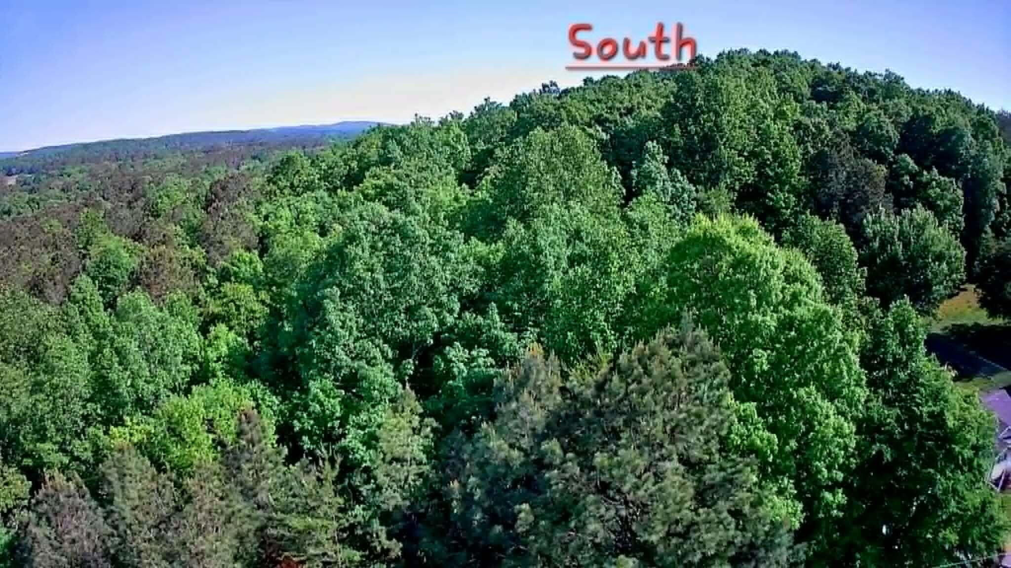 302 Timberland Trail Ringgold, GA 30736 - Photo 4 of 29 1e6c1b04-148f-4075-bbcc-57c06e6559e6