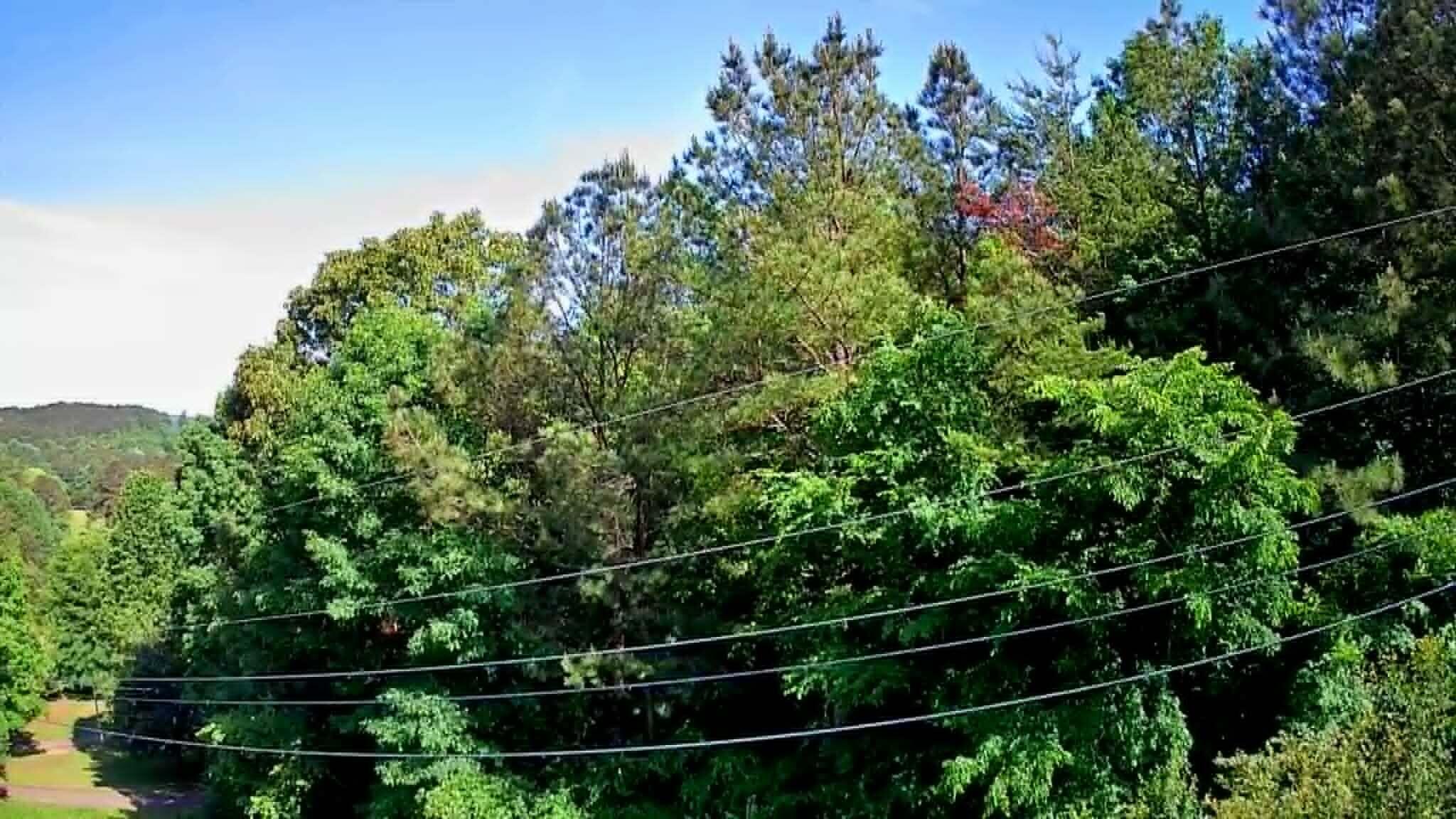 302 Timberland Trail Ringgold, GA 30736 - Photo 6 of 29 2204e365-2de6-4fe0-b654-12d41997ed60