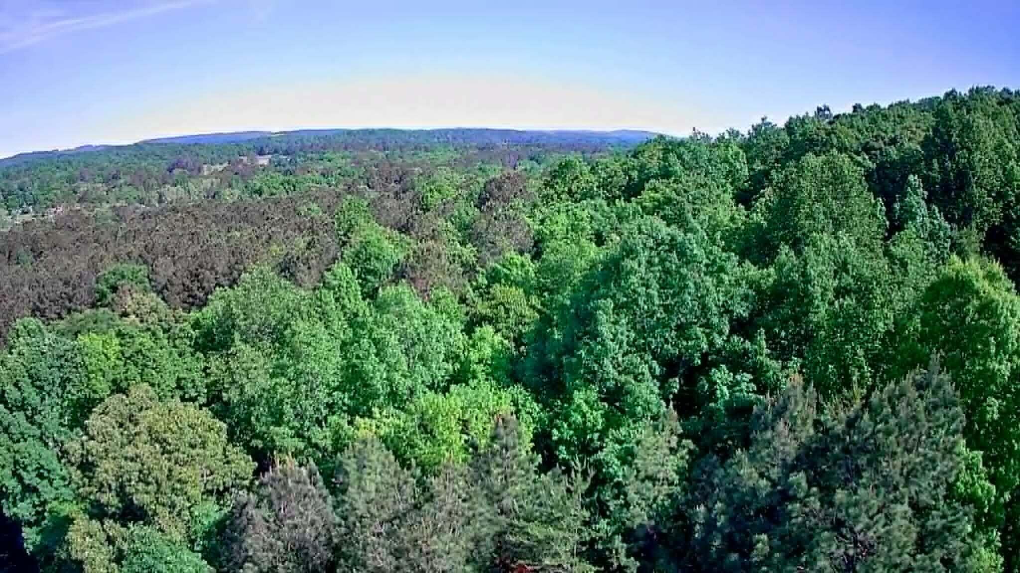 302 Timberland Trail Ringgold, GA 30736 - Photo 8 of 29 290ff50f-abe0-46da-8776-9c5daf24f9c9