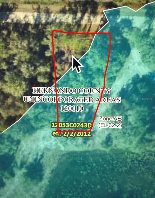 Long Circle Webster, FL 33597 - Photo 11 of 11