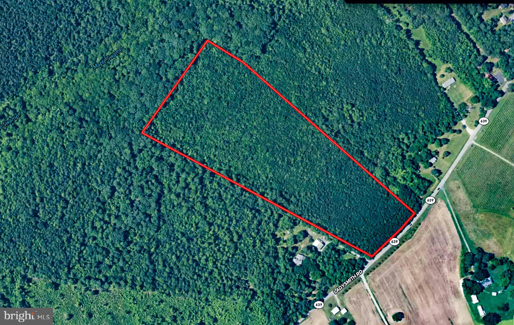 25.5-acres Ladysmith Road Ruther Glen, VA 22546 - Photo 7 of 42 Gallery Image 7