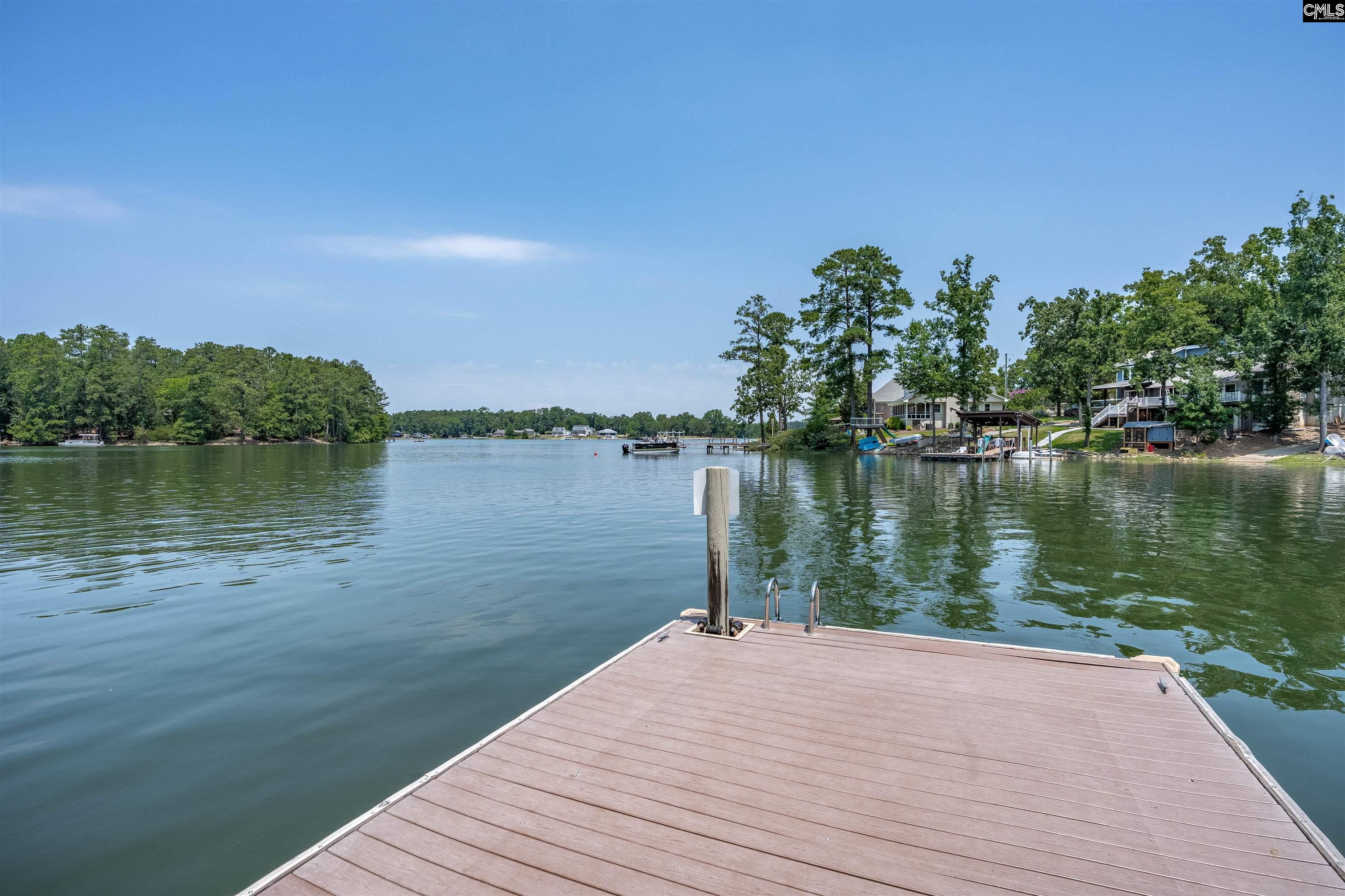 238 Hilton View Court Chapin, SC 29036 - Photo 61 of 63