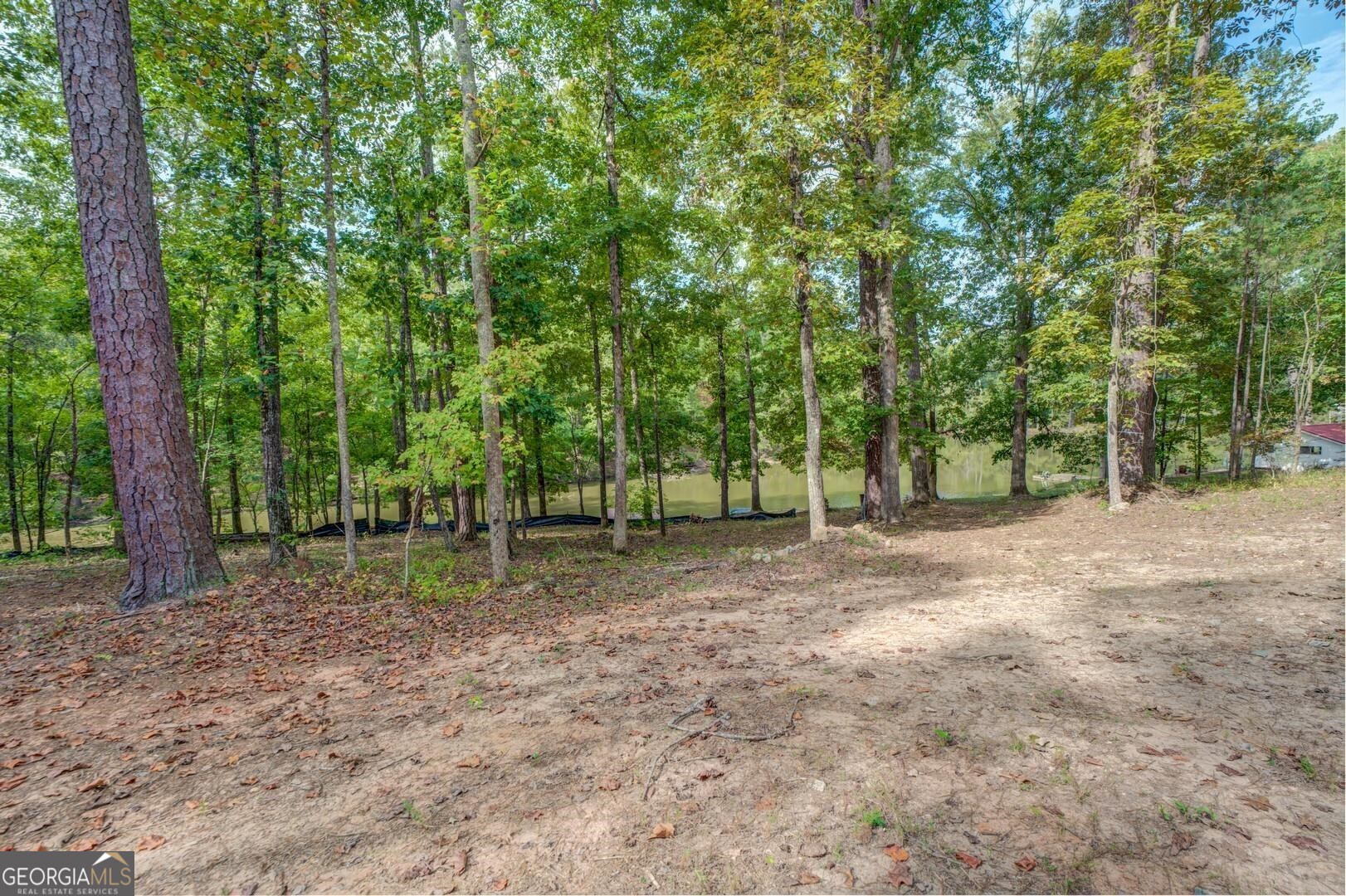 0 Summit View Road Jackson, GA 30233 - Photo 11 of 23 a view of a forest with trees in the background