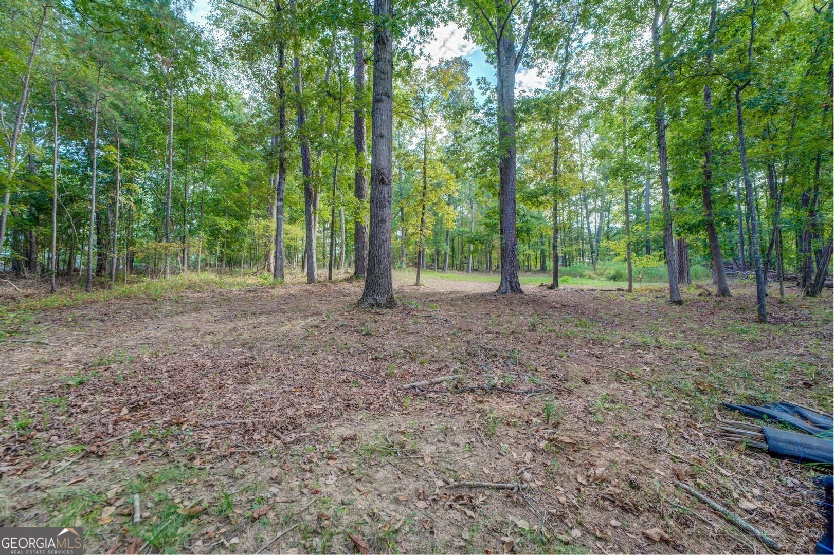 0 Summit View Road Jackson, GA 30233 - Photo 14 of 23 a view of outdoor space with tree s