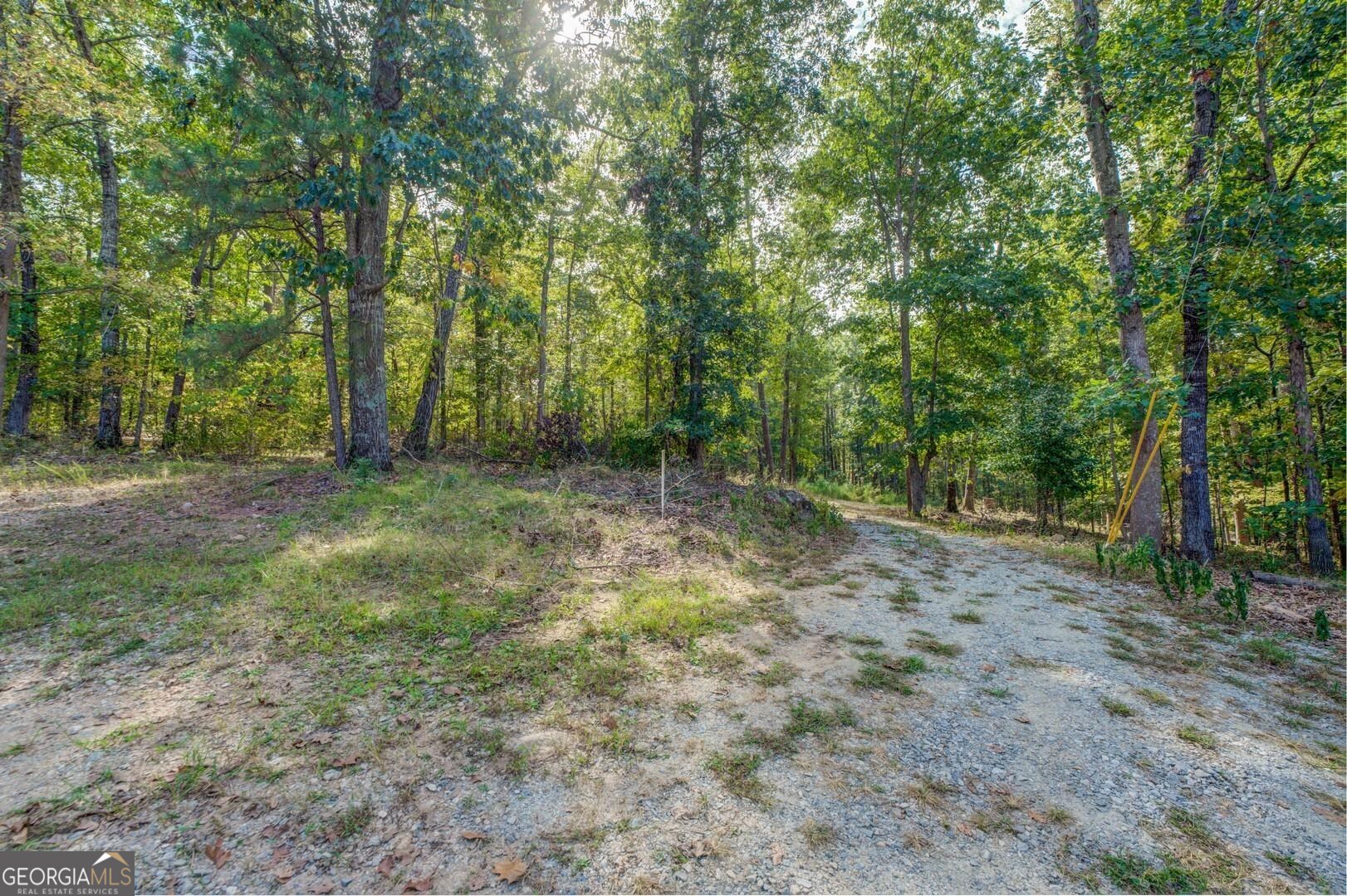 0 Summit View Road Jackson, GA 30233 - Photo 15 of 23 a big yard with lots of green space and deers