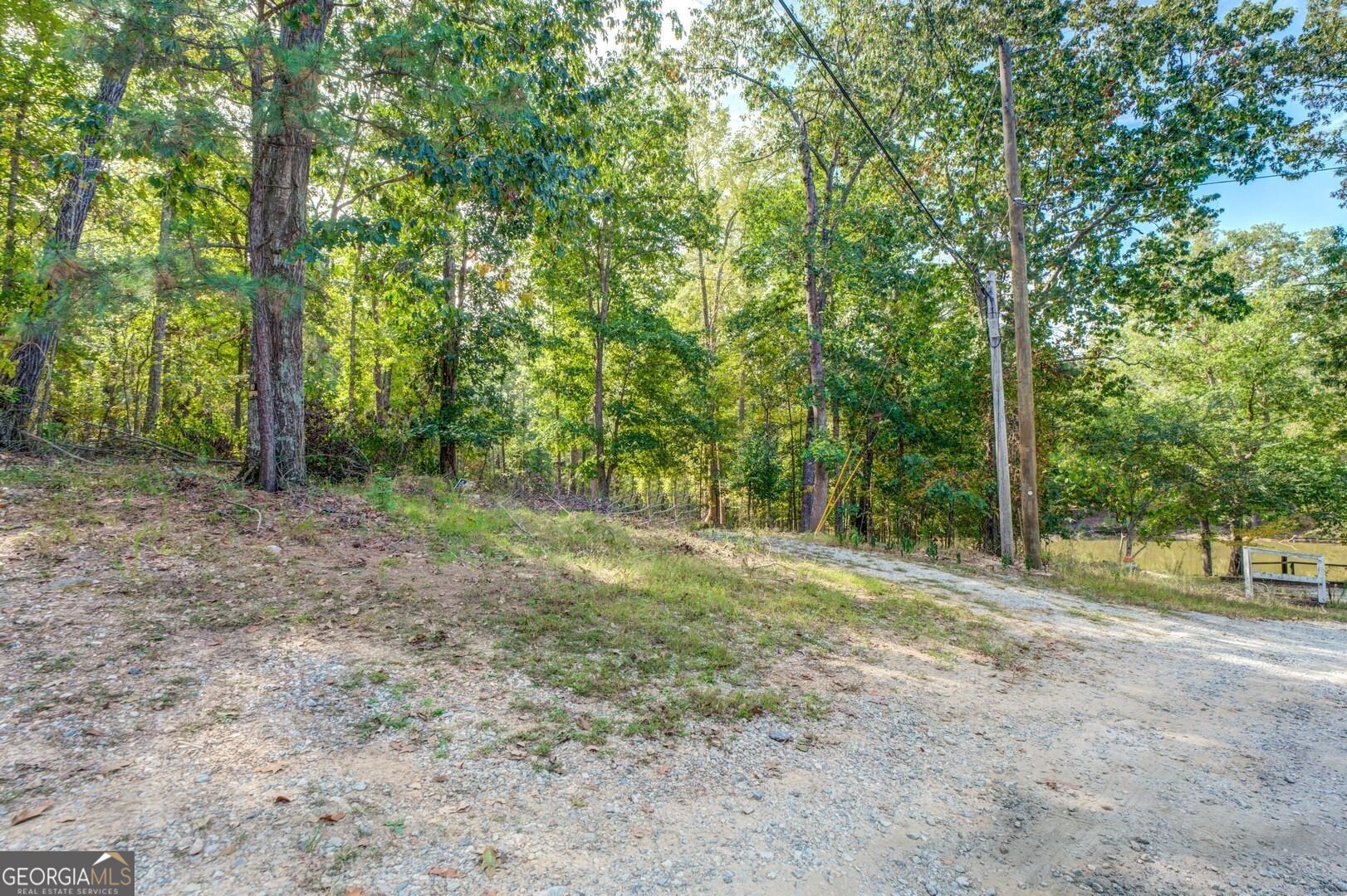 0 Summit View Road Jackson, GA 30233 - Photo 16 of 23 a view of a forest with trees in the background