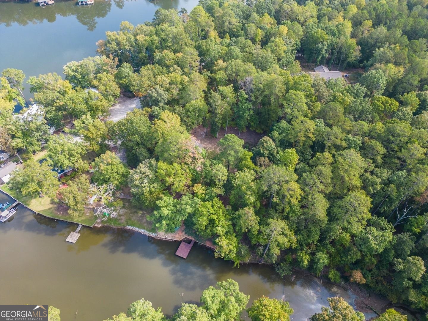 0 Summit View Road Jackson, GA 30233 - Photo 22 of 23 a view of a lake with a house