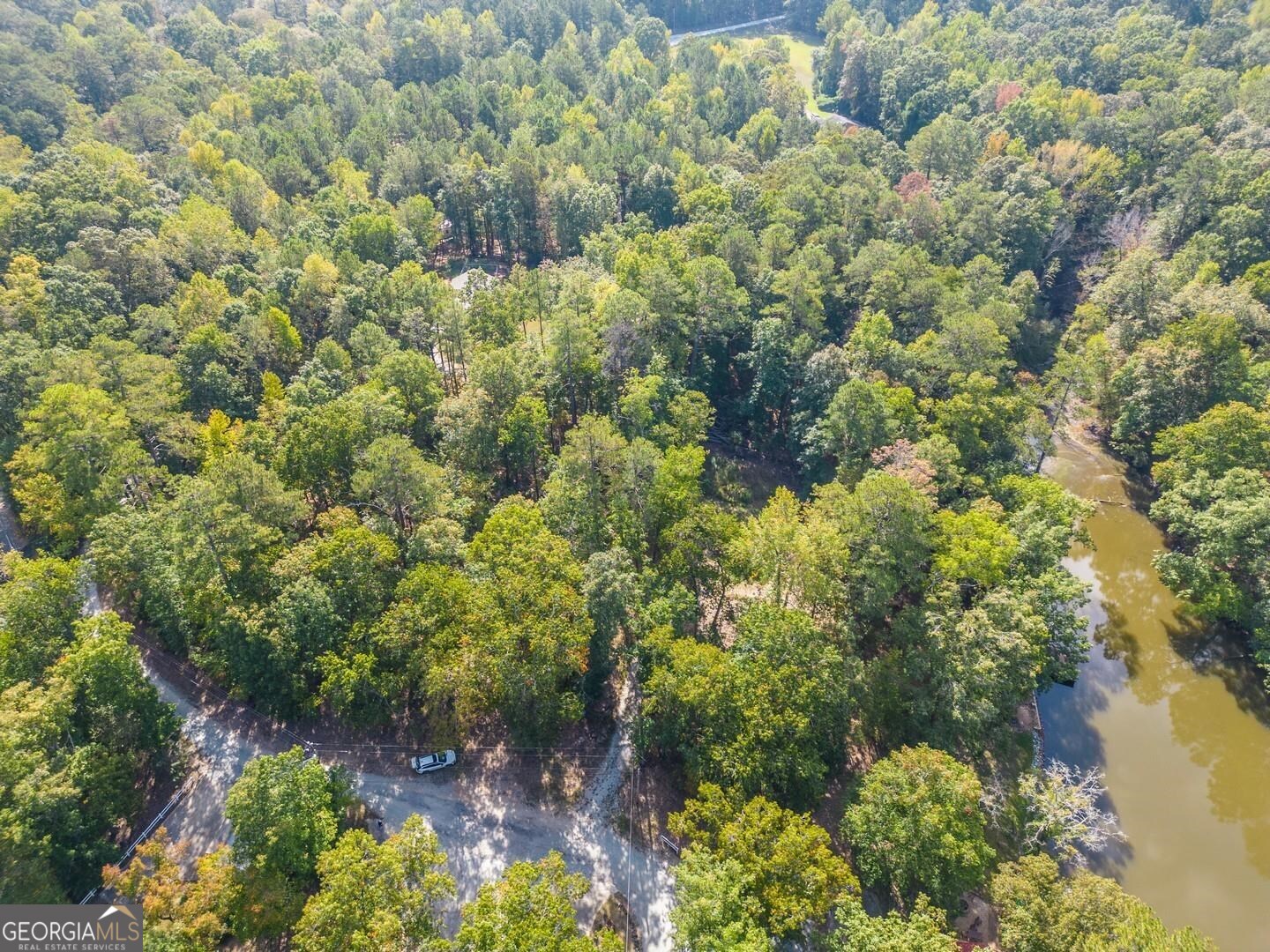 0 Summit View Road Jackson, GA 30233 - Photo 23 of 23 a view of a garden with plants