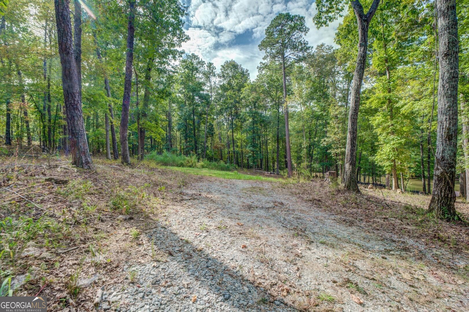 0 Summit View Road Jackson, GA 30233 - Photo 7 of 23 a view of a yard with trees in the background