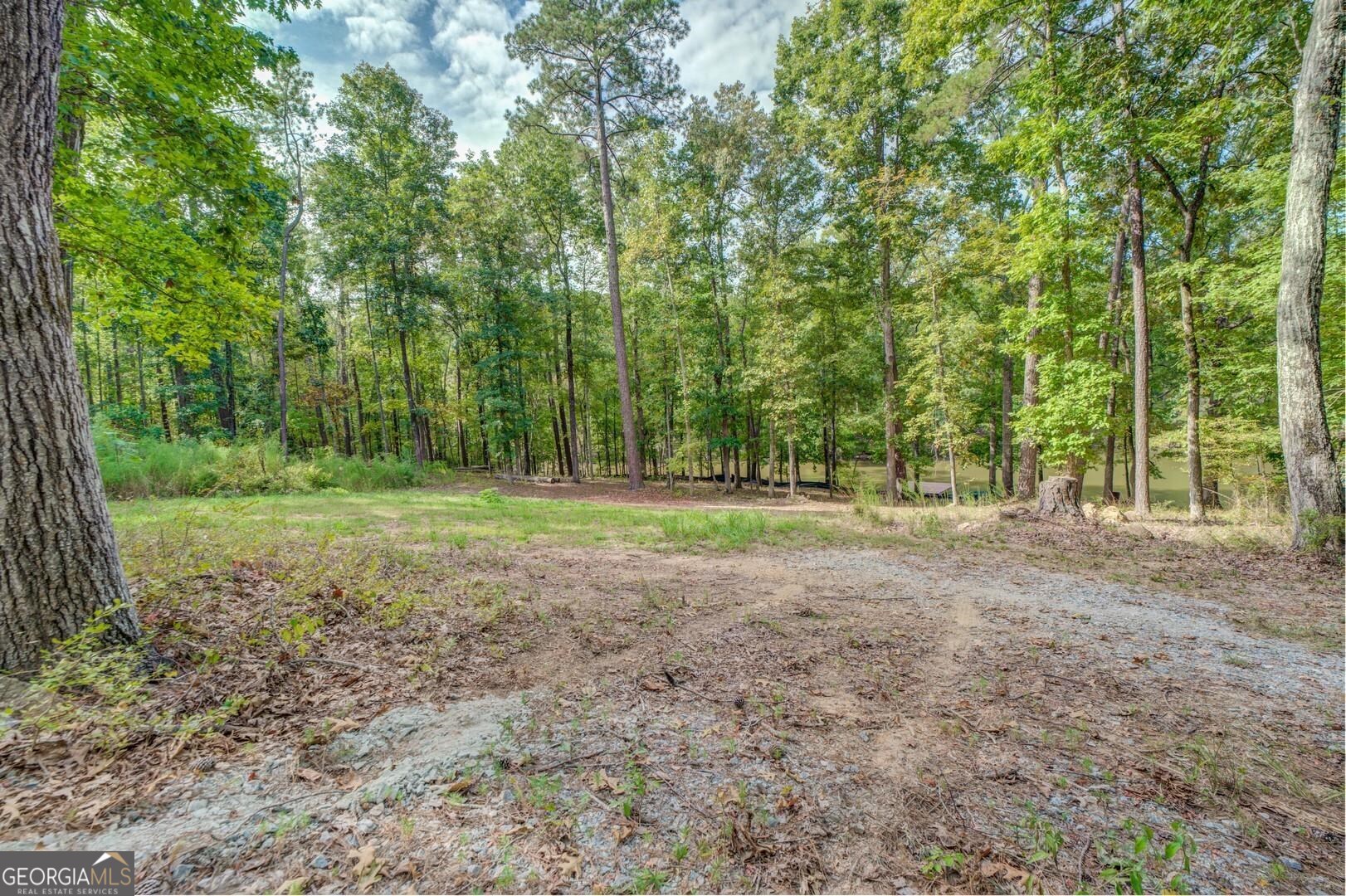 0 Summit View Road Jackson, GA 30233 - Photo 9 of 23 a view of outdoor space with trees