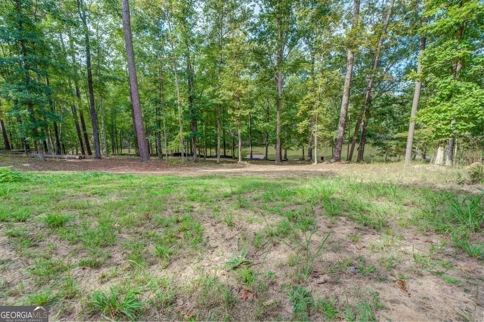 0 Summit View Road Jackson, GA 30233 - Photo 10 of 23 a backyard of a house with lots of plants and large trees