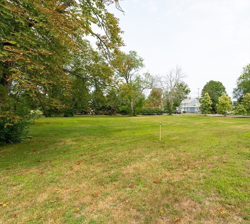 a view of a grassy field with an trees