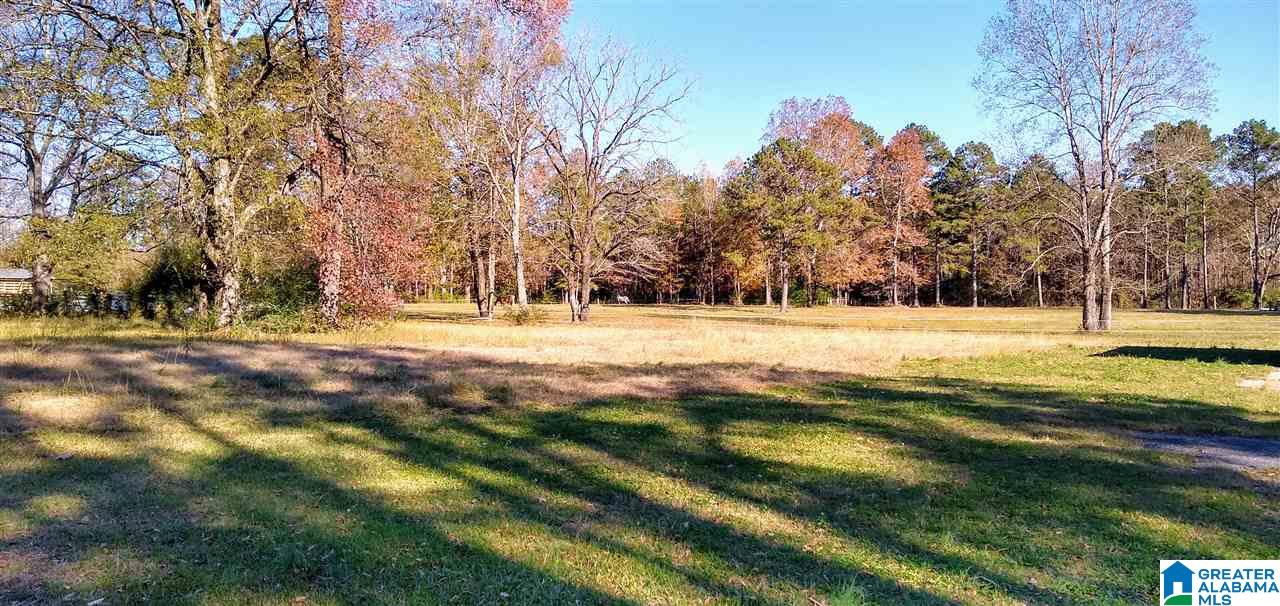 7800 Lock 17 Road Bessemer, AL 35023 - Photo 10 of 13 Gallery Image 10
