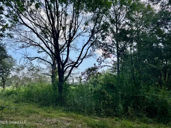 $25,000 | 407 Mary Street, Gloster, MS 39638