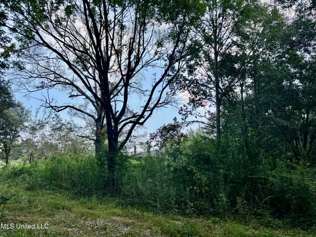 $25,000 | 407 Mary Street, Gloster, MS 39638