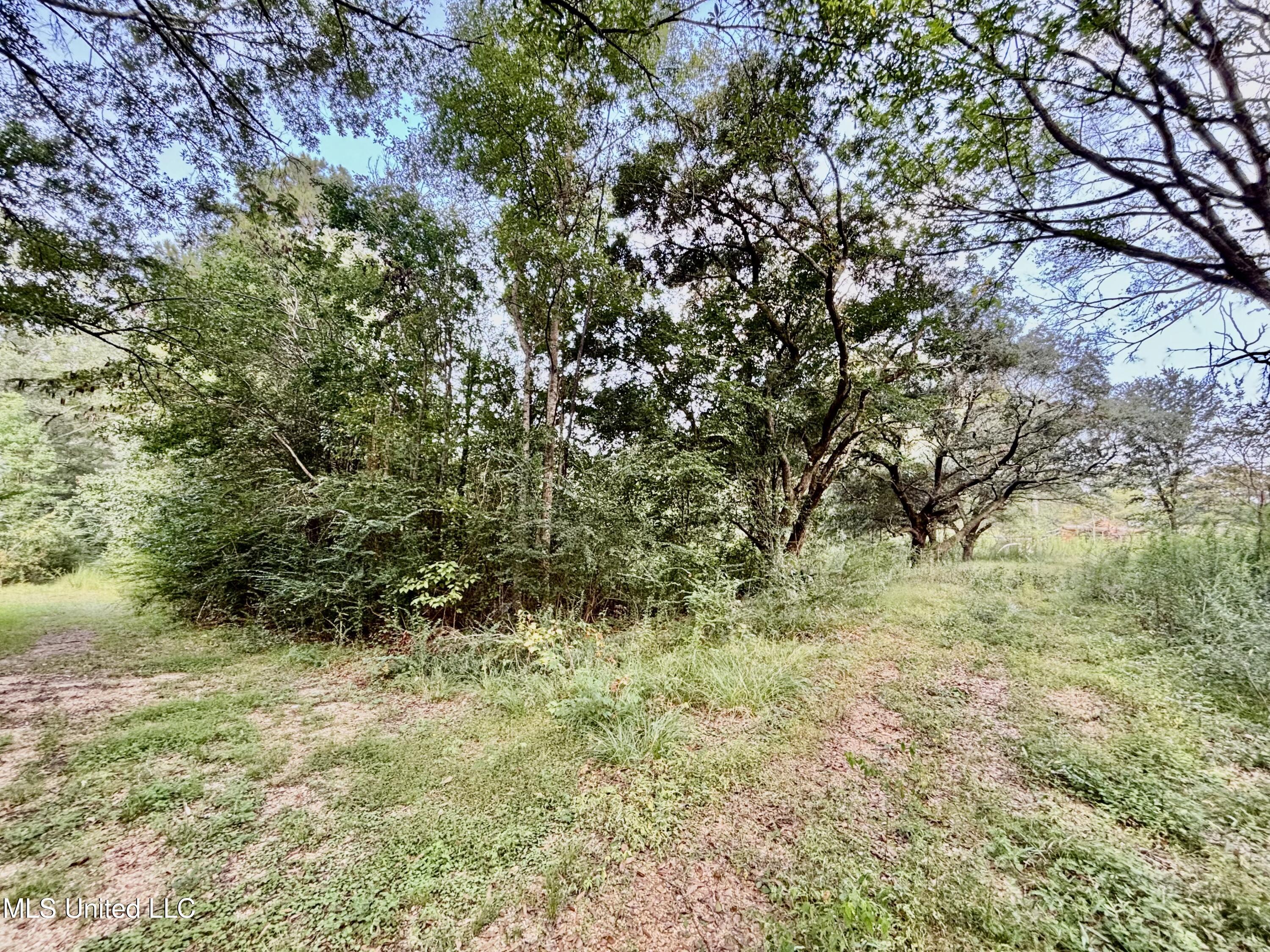 407 Mary Street Gloster, MS 39638 - Photo 3 of 4 IMG_8651