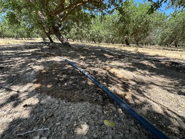 a view of swimming pool with a yard