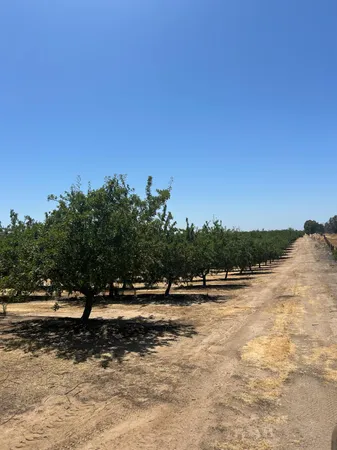 $14,000,000 | 29710 Ave 15 1/2, Madera, CA 93636