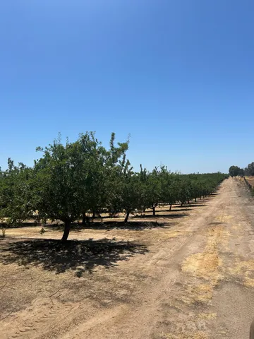 $14,000,000 | 29710 Ave 15 1/2, Madera, CA 93636