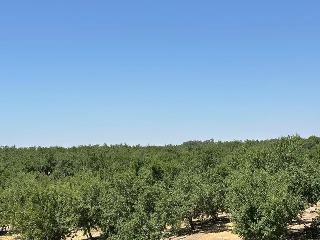 a view of a city with lush green forest