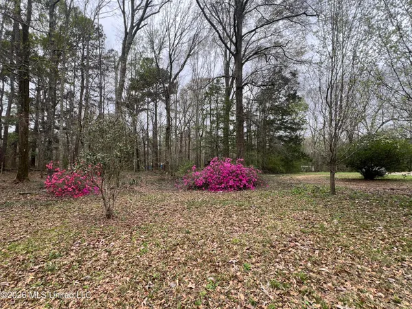 $114,500 | 486 Ella McGehee Road, Meadville, MS 39653