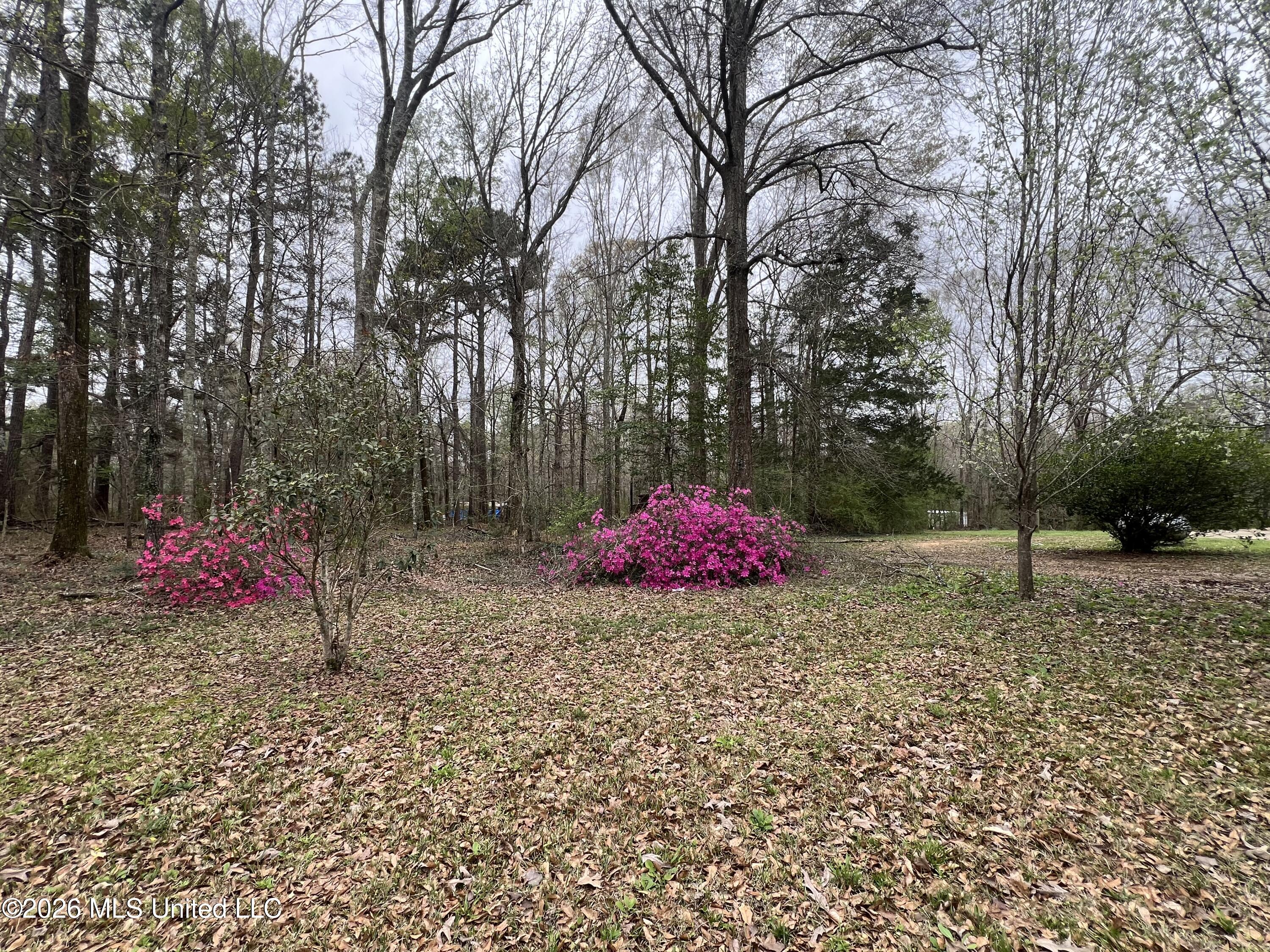 486 Ella McGehee Road Meadville, MS 39653 - Photo 11 of 13 IMG_3823