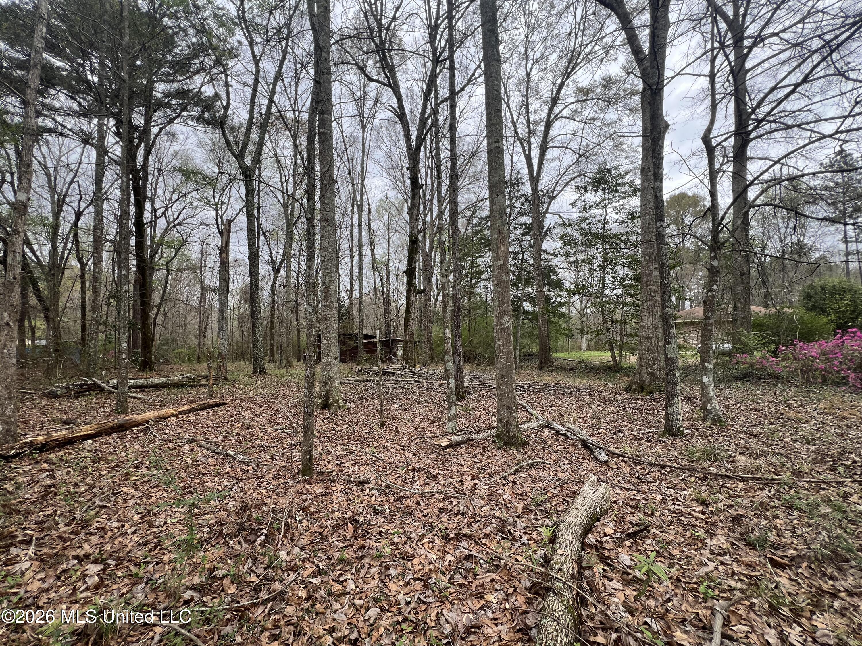 486 Ella McGehee Road Meadville, MS 39653 - Photo 10 of 13 IMG_3821