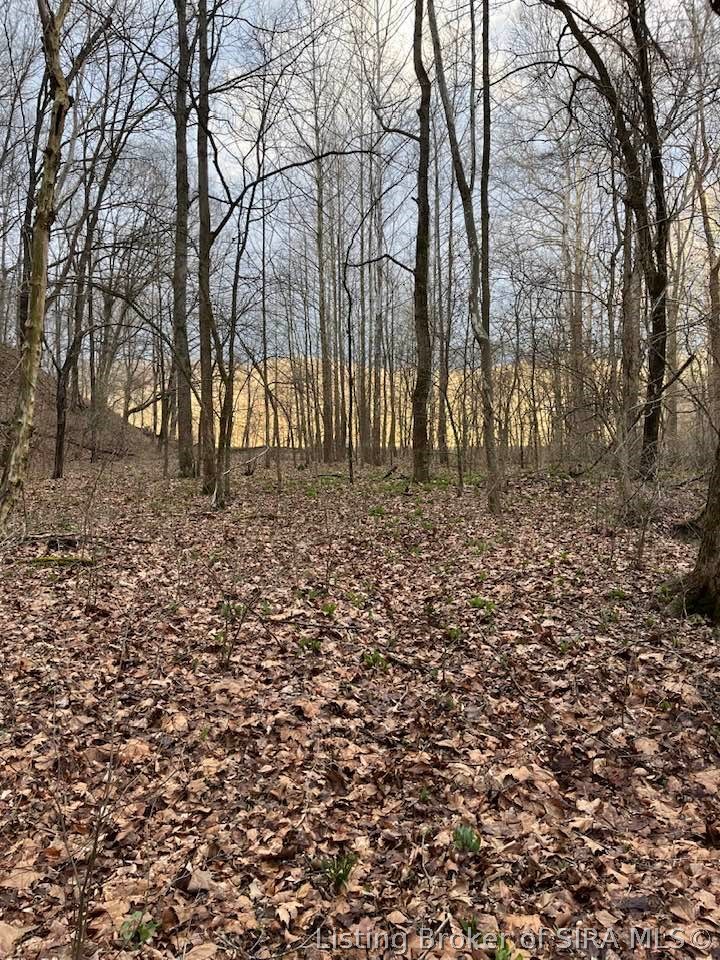 Fields Road Vallonia, IN 47281 - Photo 1 of 16