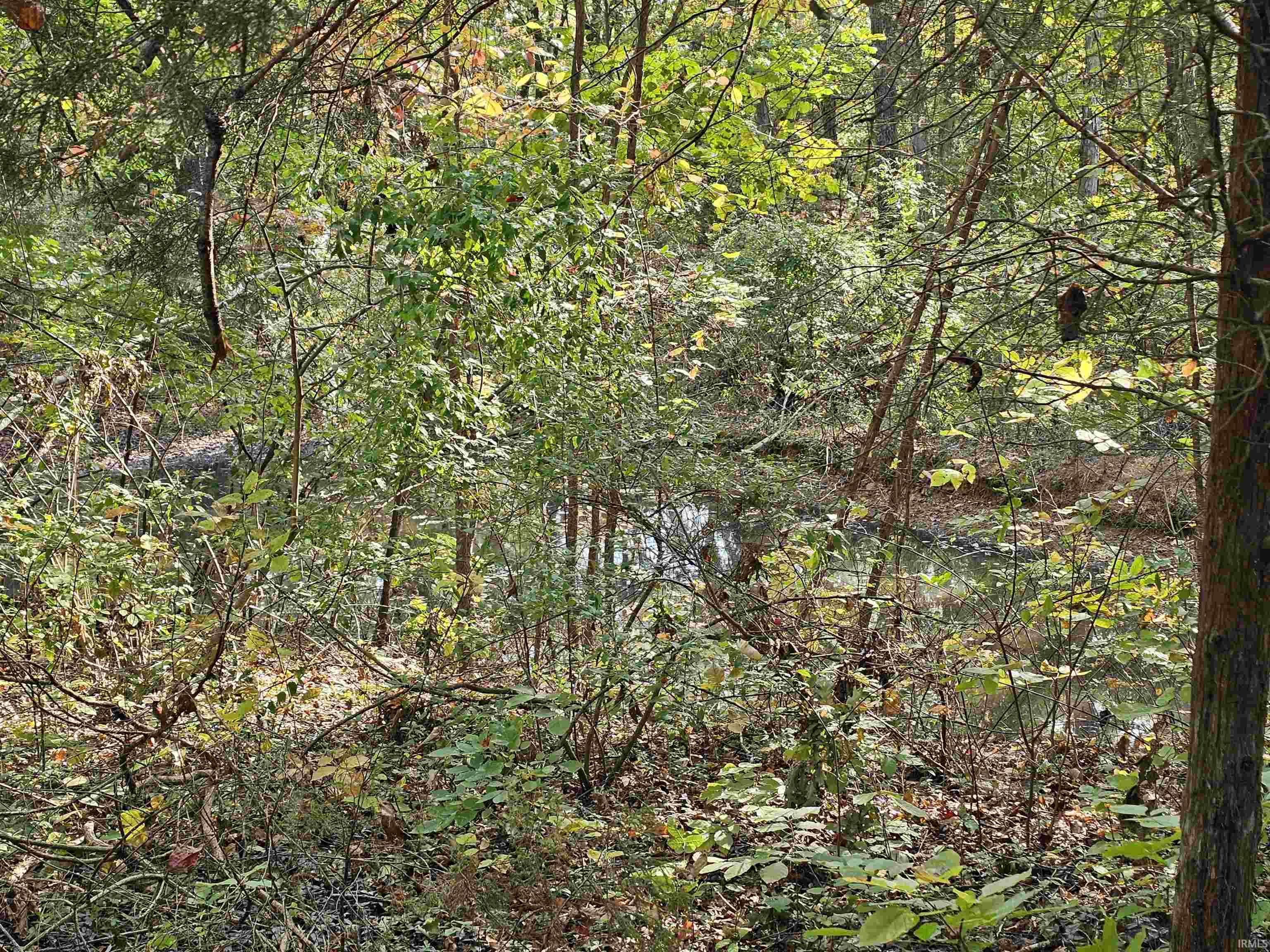 9011 Old Dutch Ridge Road Bloomington, IN 47401 - Photo 9 of 36