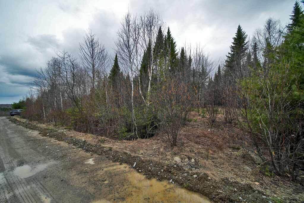 Lot 7 Fire Road Linneus, ME 04730 - Photo 24 of 24 me-land-aroostook-county