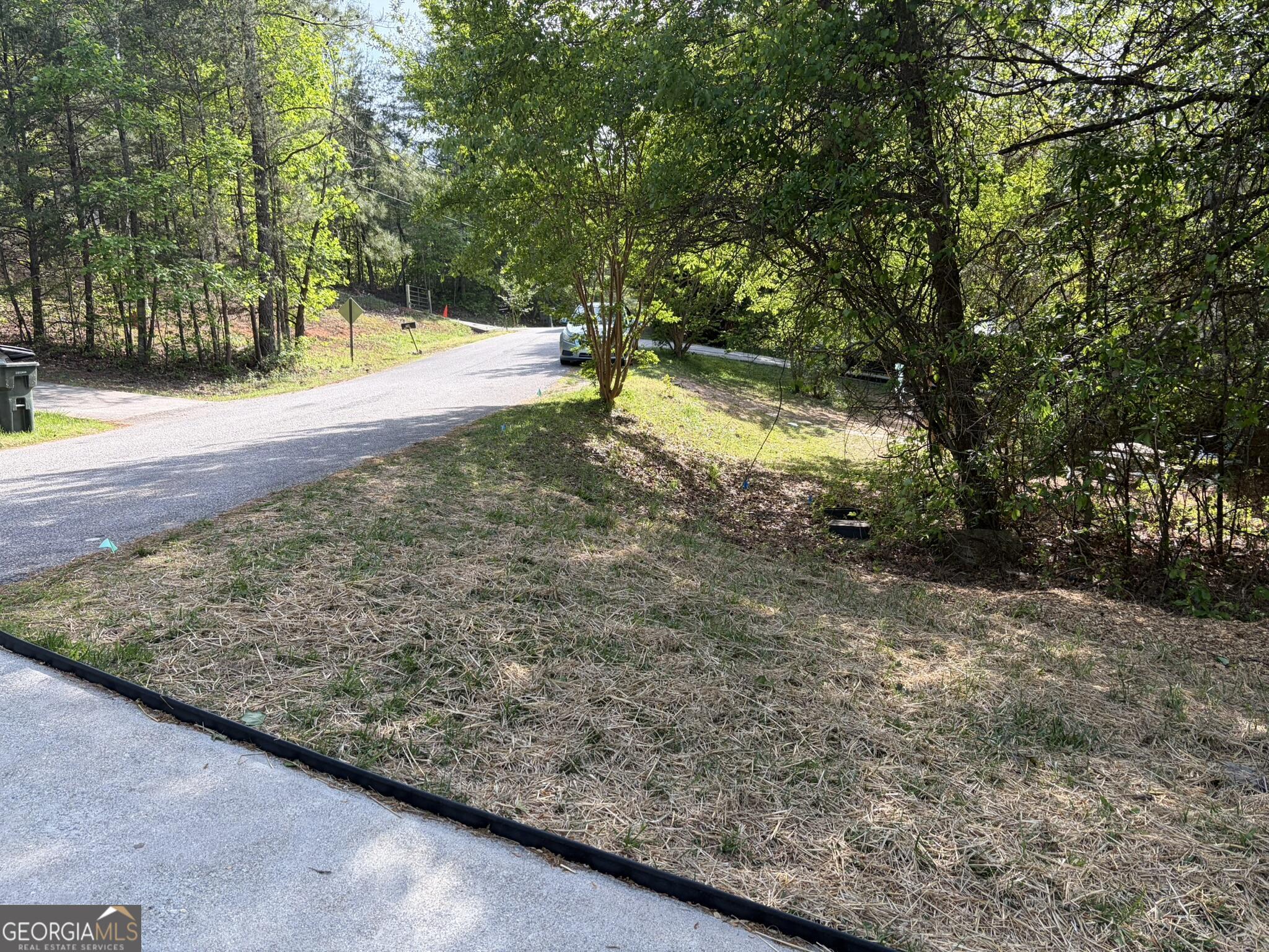 115 Richard Street Clarkesville, GA 30523 - Photo 36 of 36