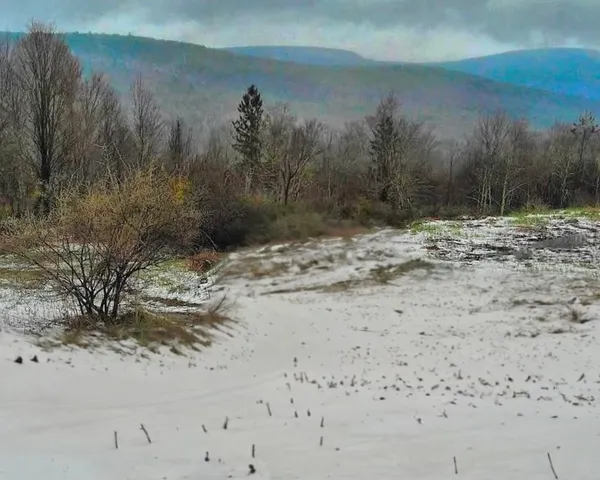 $99,000 | Fox Meadow Lane, Margaretville, NY 12455