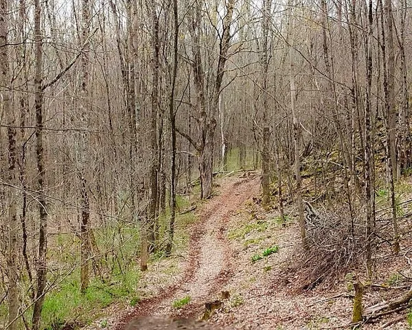 $99,000 | Fox Meadow Lane, Margaretville, NY 12455